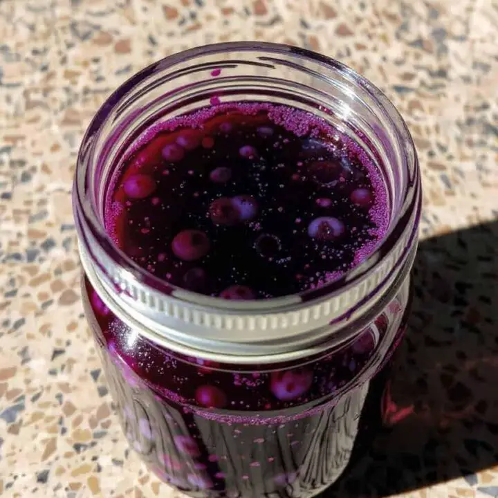 Blueberry Syrup Recipe