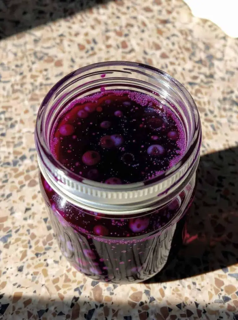 Blueberry Syrup Recipe