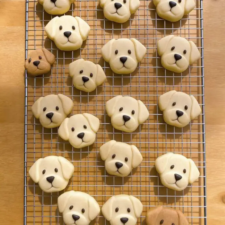 Handmade Dog Face Cookies