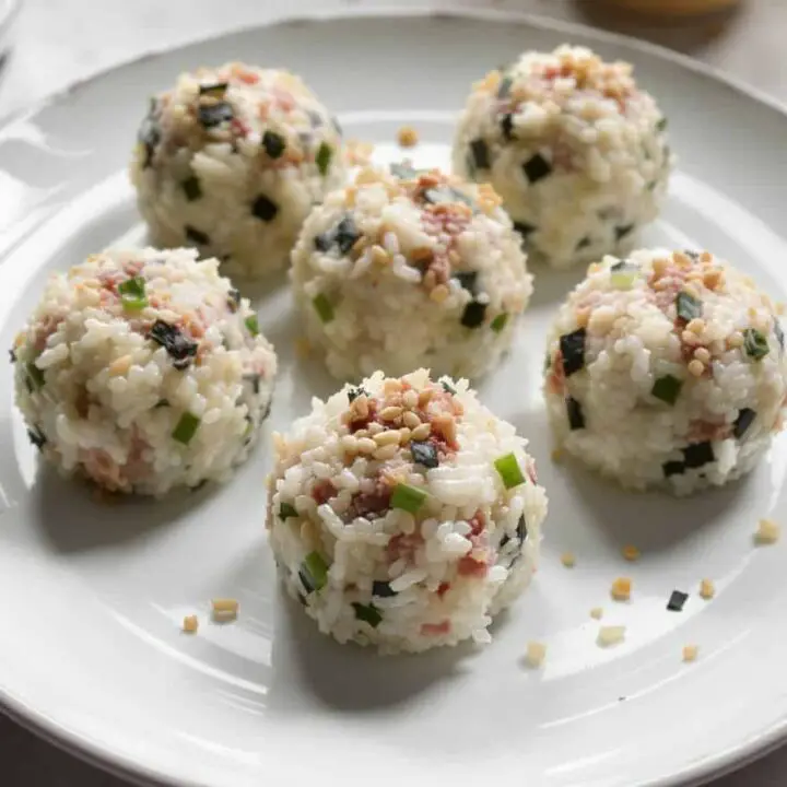 Tuna Rice Ball
