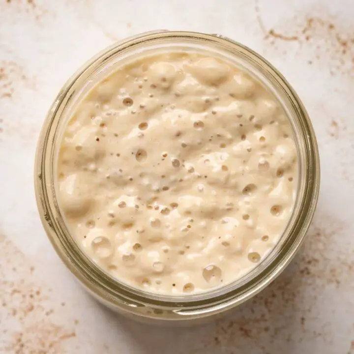 Sourdough Starter