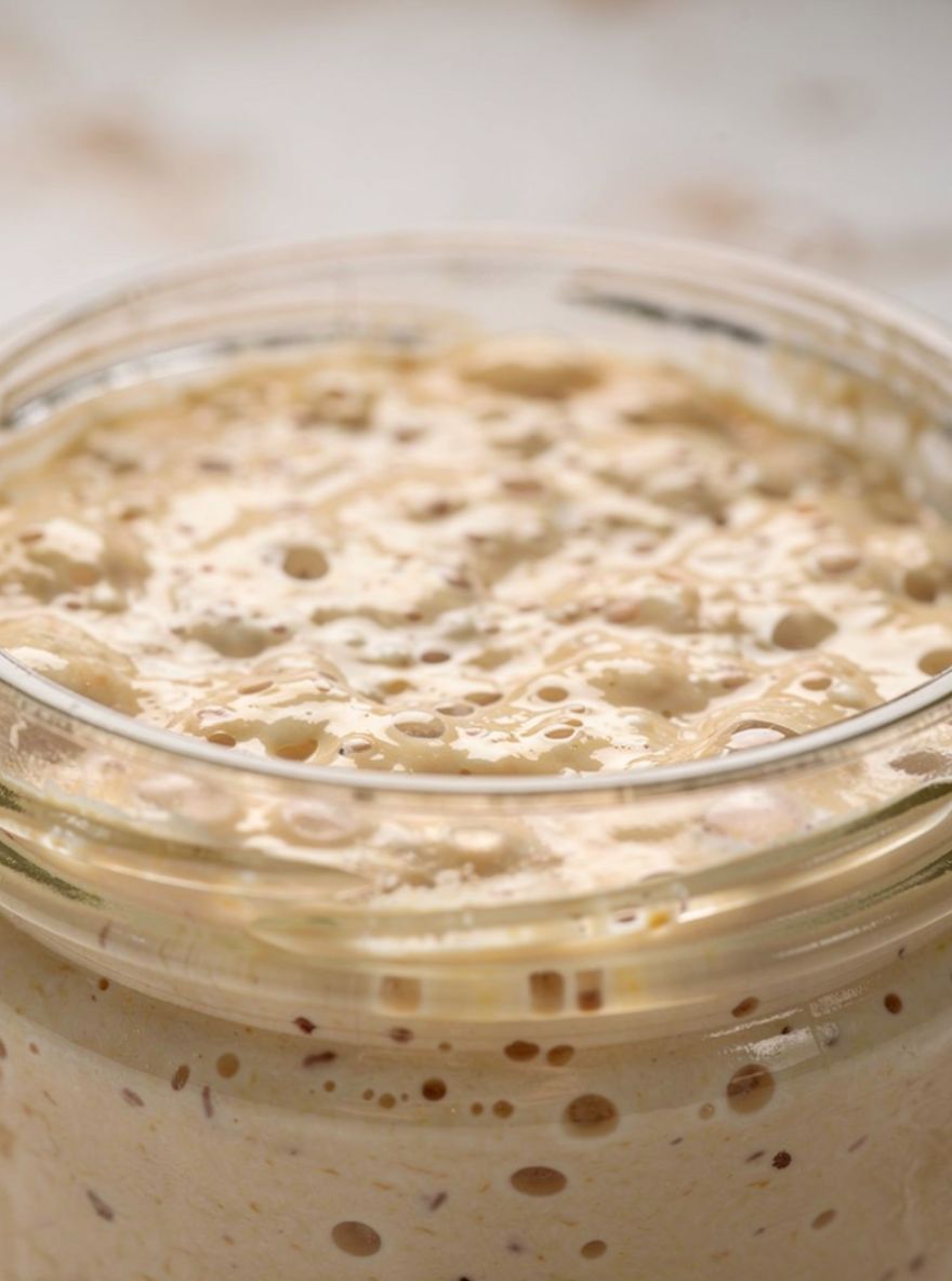 Sourdough Starter