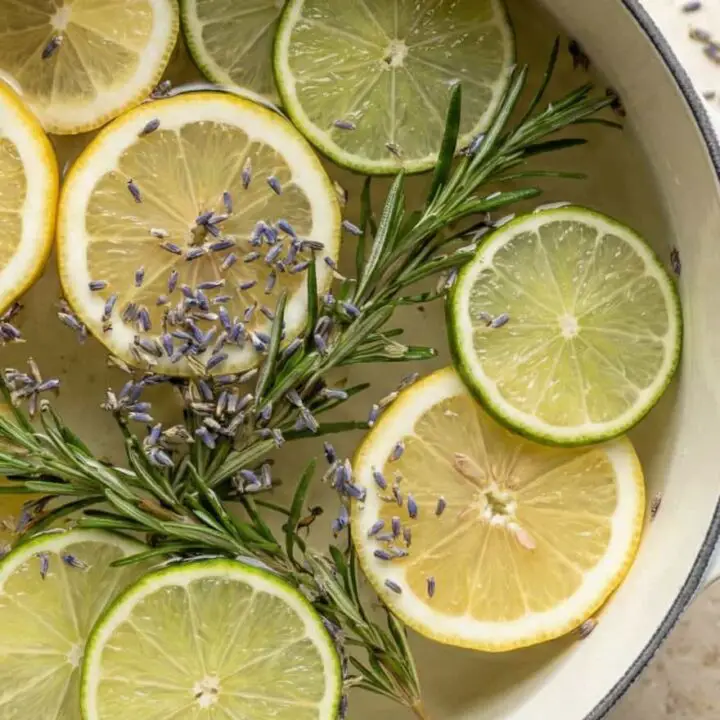 Spring Simmer Pot Recipe