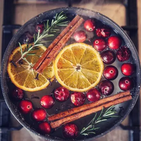 Christmas Stovetop Potpourri