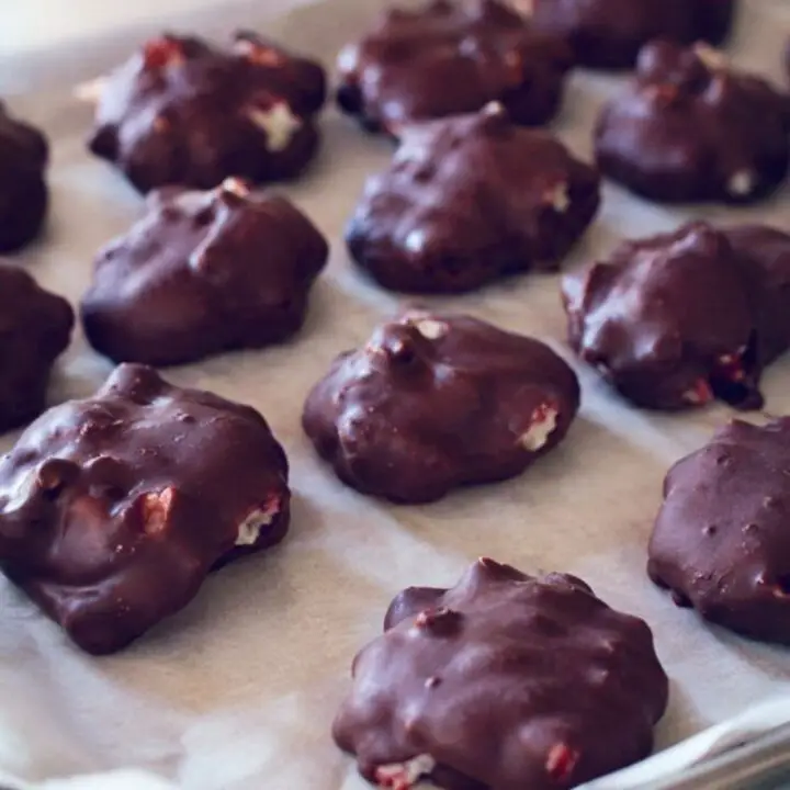 Chocolate Covered Yogurt Clusters
