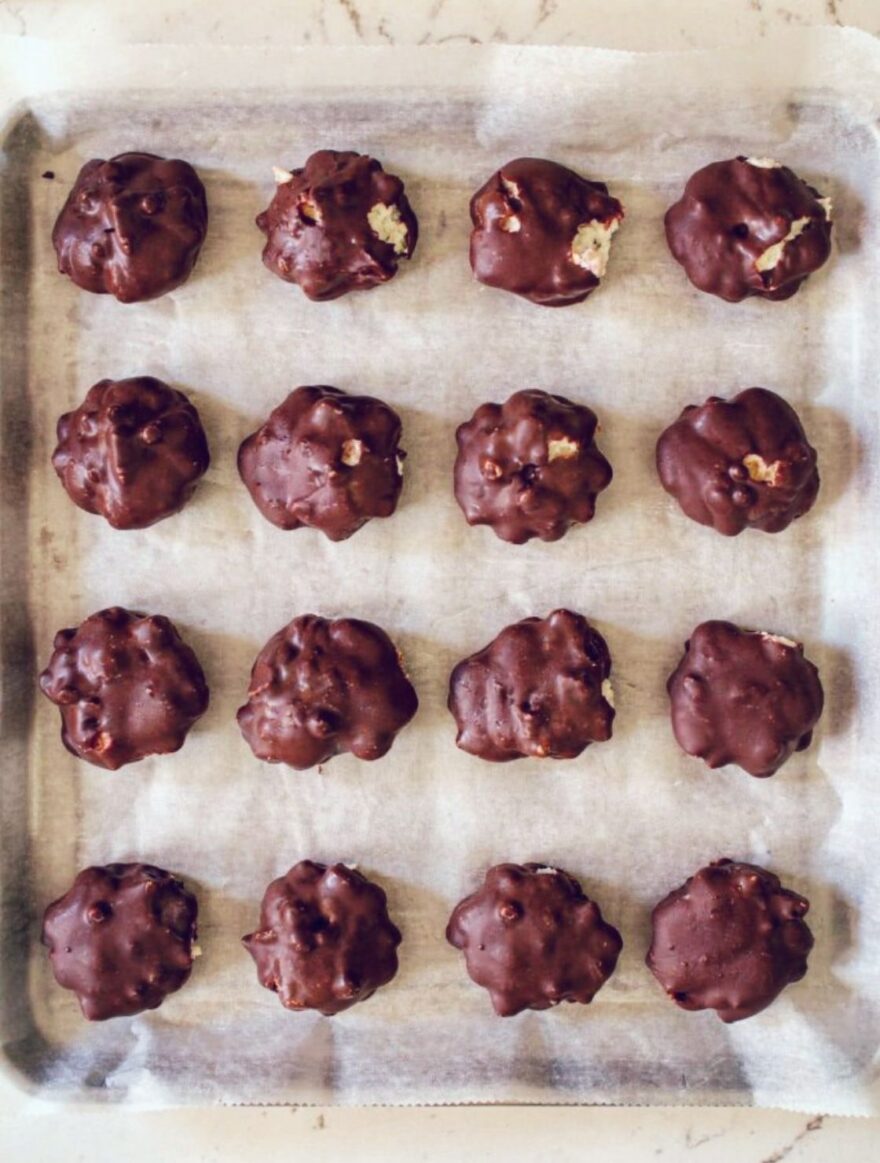 Chocolate Covered Yogurt Clusters