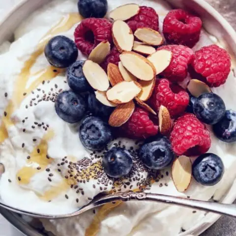 High Protein Probiotic Yogurt Bowl