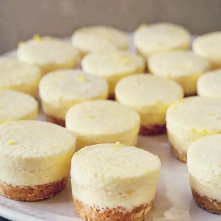 Close-up of Frozen Lemon Cheesecake Bites showing smooth lemon filling and buttery graham cracker base on a white plate.
